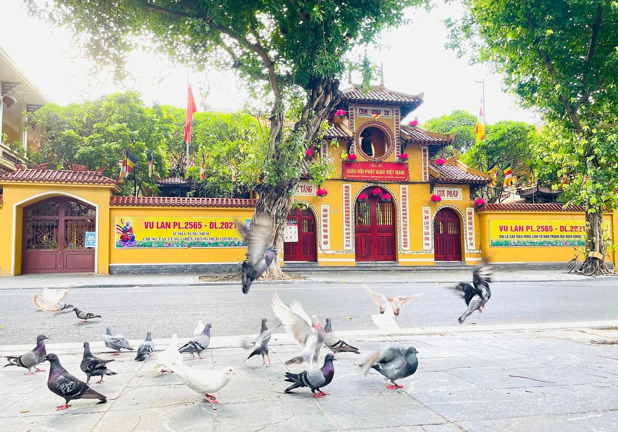 Ngôi chùa được xây dựng từ thế kỷ XV, ban đầu là nơi tiếp đón sứ thần ngoại quốc theo đạo Phật đến Thăng Long hành lễ